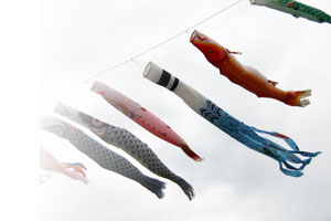 Koi flags, Japan