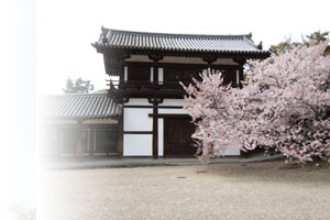 Temple building in Nara, Japan